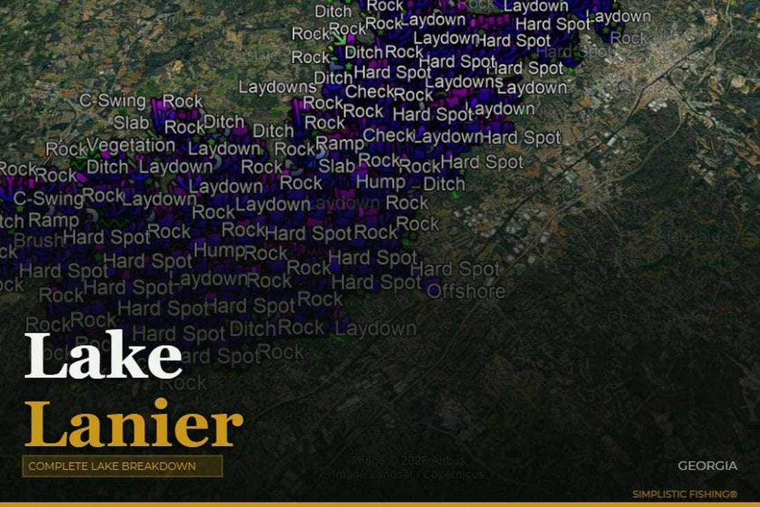 Lake Lanier Fishing Report: What's Working in June 2026