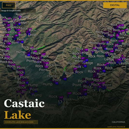 Map of Castaic Lake with various landmarks labeled on a digital interface.
