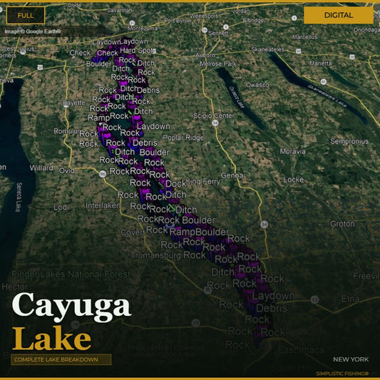 Map of Cayuga Lake with various labels and a digital overlay