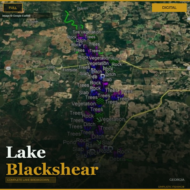 Map of Lake Blackshear with labels for vegetation, rock, and other features.