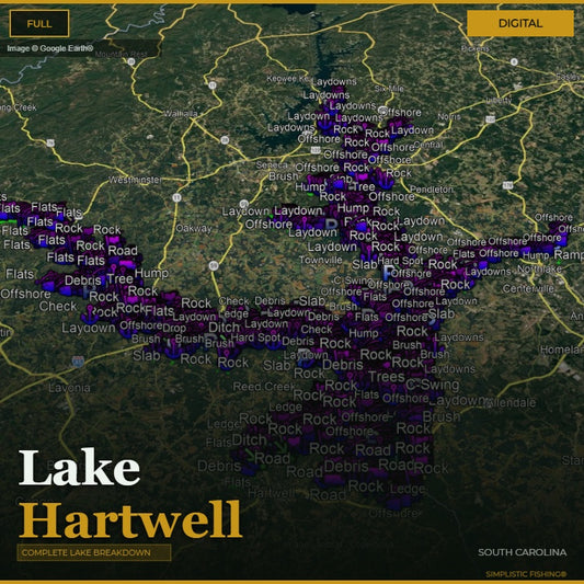 Map of Lake Hartwell with fishing spots marked, sourced from Google Earth.