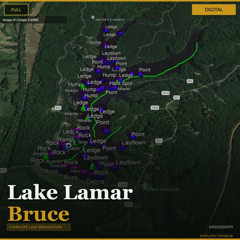 Lake Lamar Bruce, MS Waypoints on Google