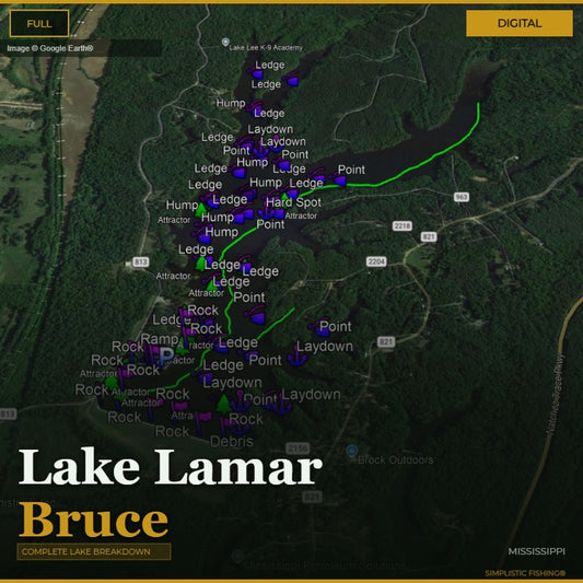 Lake Lamar Bruce, MS Waypoints on Google