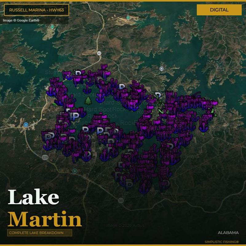 Map of Lake Martin with purple markers on a digital background
