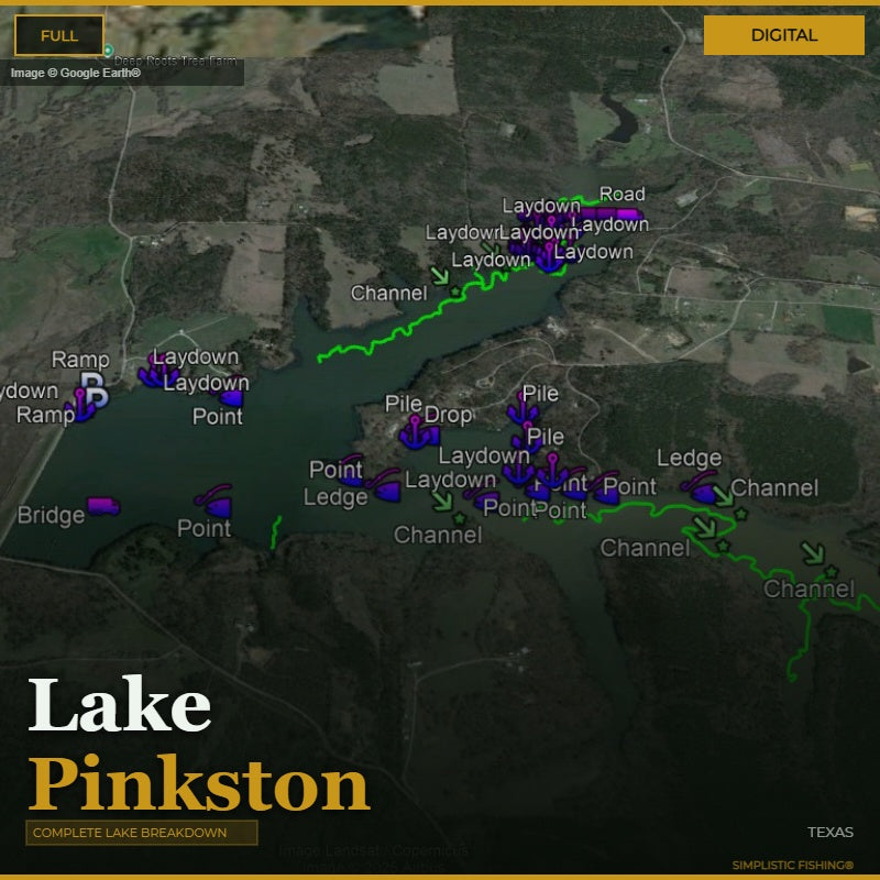 Map of Lake Pinkston with various points of interest labeled