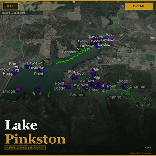 Map of Lake Pinkston with various points of interest labeled