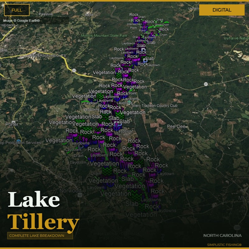 A digital map labeled 'Lake Tillery' with many labeled fishing spots such as Rock, Vegetation, and Slab, overlaid with purple and green markers. The map background is a satellite-style aerial view of a lake and surrounding land in North Carolina.